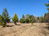 Lot 11 Bear Paw Tr - Photo 3