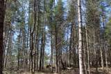 Lot 1 Hwy 55 - Photo 16