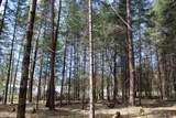 Lot 1 Hwy 55 - Photo 17