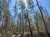 Acres On Watersmeet Lake Rd - Photo 17