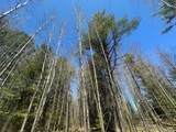 Acres On Watersmeet Lake Rd - Photo 20