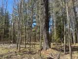 Acres On Watersmeet Lake Rd - Photo 4
