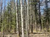 Acres On Watersmeet Lake Rd - Photo 7