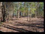 Lot 17 Memory Ln - Photo 7