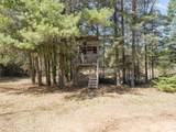 4113 Hwy 45 - Photo 41