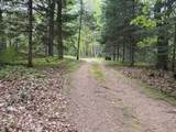 W10550 Hazelgreen Rd - Photo 40