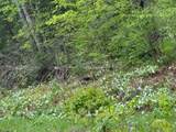 W10550 Hazelgreen Rd - Photo 41