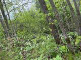 W10550 Hazelgreen Rd - Photo 42