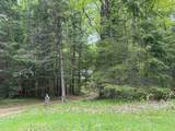 W10550 Hazelgreen Rd - Photo 45