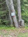 W10550 Hazelgreen Rd - Photo 48