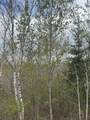NEAR Camp Nine Rd - Photo 1