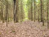 N10380 Solberg Lake Rd W - Photo 28