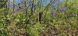 TBD Island Lake Rd - Photo 11