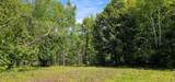 TBD Island Lake Rd - Photo 12