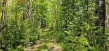 TBD Island Lake Rd - Photo 14