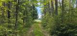 TBD Island Lake Rd - Photo 15