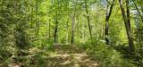 TBD Island Lake Rd - Photo 23