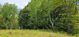 TBD Island Lake Rd - Photo 4