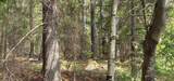 TBD off Deer Rd - Photo 11