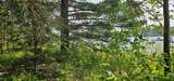 TBD off Deer Rd - Photo 16