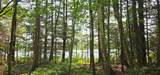 TBD off Deer Rd - Photo 2