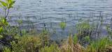 TBD off Deer Rd - Photo 20