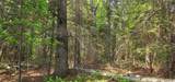 TBD off Deer Rd - Photo 25