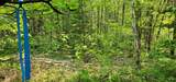 TBD off Deer Rd - Photo 7