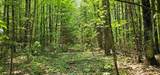 TBD off Deer Rd - Photo 8