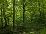 43064 Potato River Rd - Photo 15