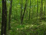 43064 Potato River Rd - Photo 17