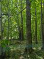 43064 Potato River Rd - Photo 30