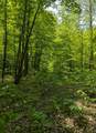 43064 Potato River Rd - Photo 33