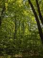 43064 Potato River Rd - Photo 36
