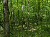 43064 Potato River Rd - Photo 6