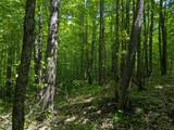 43064 Potato River Rd - Photo 8