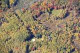 435N Springstead Rd - Photo 41
