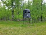 435N Springstead Rd - Photo 48