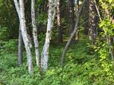 Lot 14 Summit View Dr - Photo 2