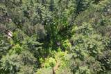 .95 Acrs Deer Lake Rd - Photo 16