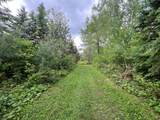 4011 Elsner Rd - Photo 24