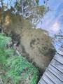 1514 Rachel Ln - Photo 35