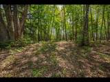 Lot 12 Kinderhook Tr - Photo 3