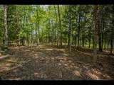 Lot 12 Kinderhook Tr - Photo 9