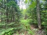 LOT Hiawatha Shores Rd - Photo 6