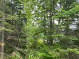 LOT Hiawatha Shores Rd - Photo 8