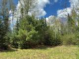 6310 Bambiland Rd - Photo 48
