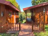 6310 Bambiland Rd - Photo 58