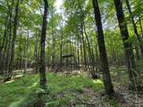 6209W Flambeau Dam Rd W - Photo 47