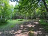 6209W Flambeau Dam Rd W - Photo 49